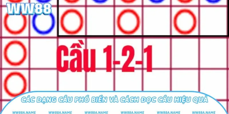 Các dạng cầu phổ biến và cách đọc cầu hiệu quả