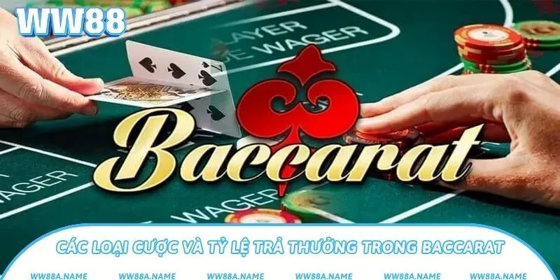 Các loại cược và tỷ lệ trả thưởng trong Baccarat