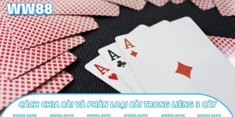 Cách chia bài và phân loại bài trong Liêng 3 cây