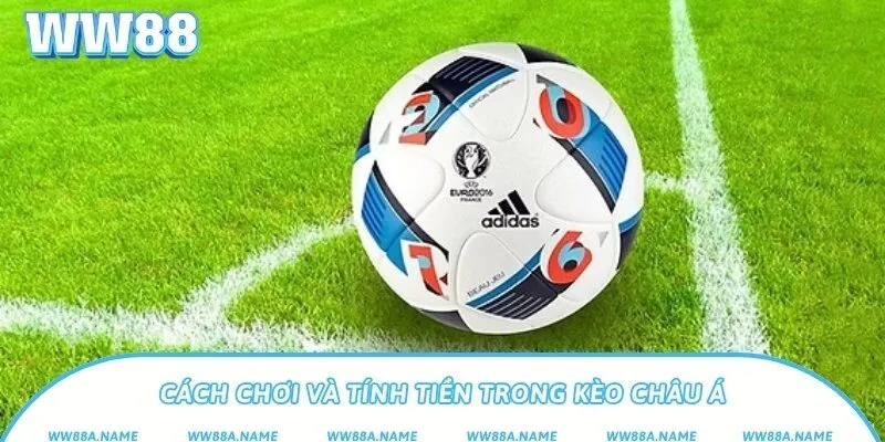 Cách chơi và tính tiền trong kèo châu Á