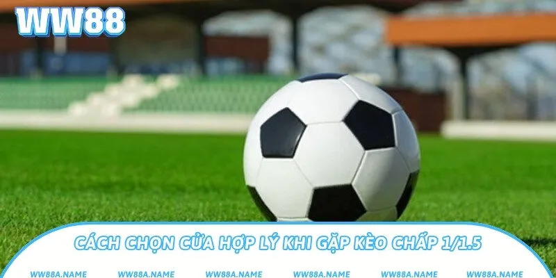 Cách chọn cửa hợp lý khi gặp kèo chấp 1/1.5
