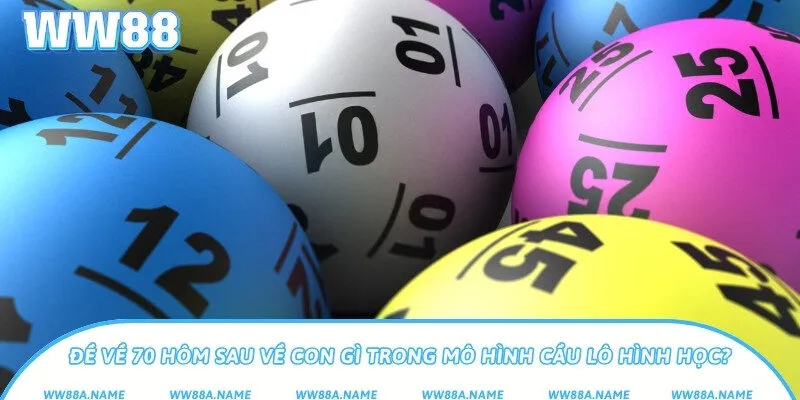 Đề về 70 hôm sau về con gì trong mô hình cầu lô hình học?