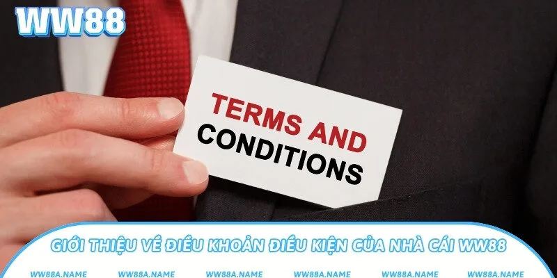 Giới thiệu về điều khoản điều kiện của nhà cái WW88