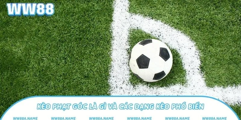 Kèo phạt góc là gì và các dạng kèo phổ biến