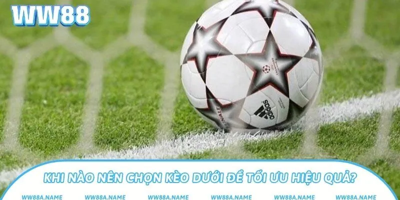 Khi nào nên chọn kèo dưới để tối ưu hiệu quả?