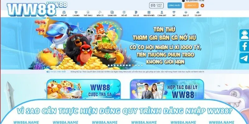 Vì sao cần thực hiện đúng quy trình đăng nhập WW88?